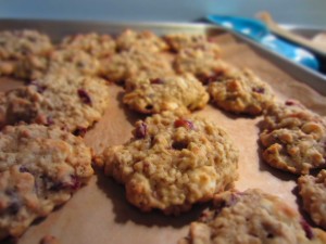 Cranberry Whit choco cookies